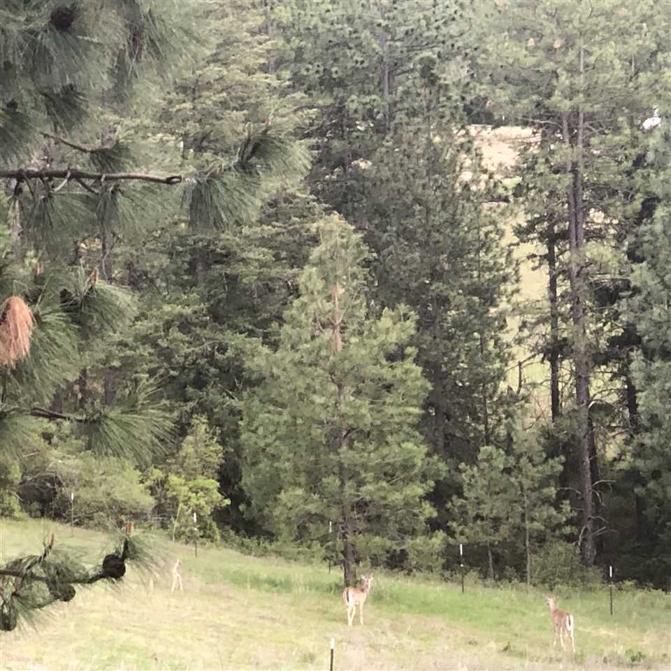 155-xx East Scribner Road Spokane, WA 99217 - Photo 1 of 3