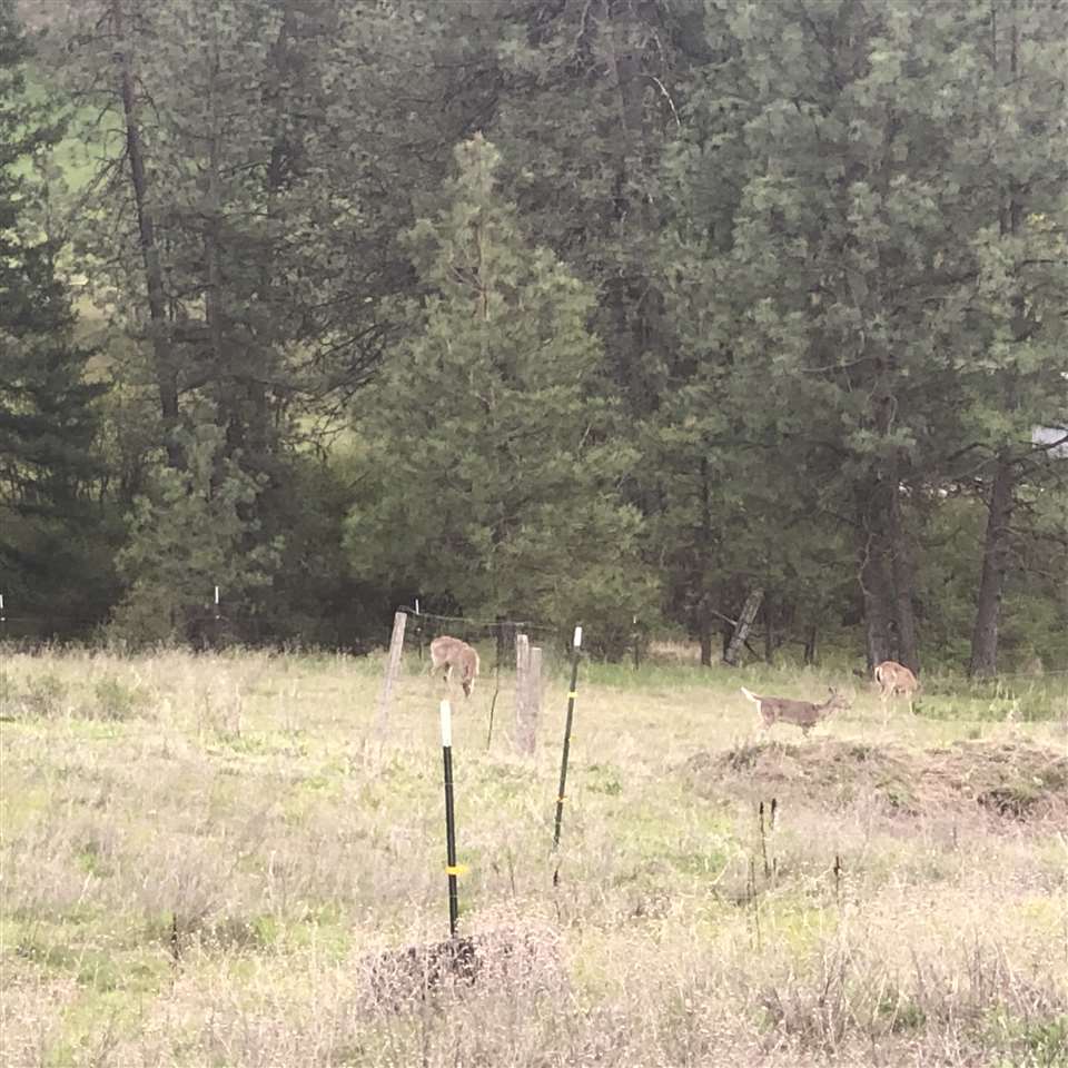 155-xx East Scribner Road Spokane, WA 99217 - Photo 3 of 3