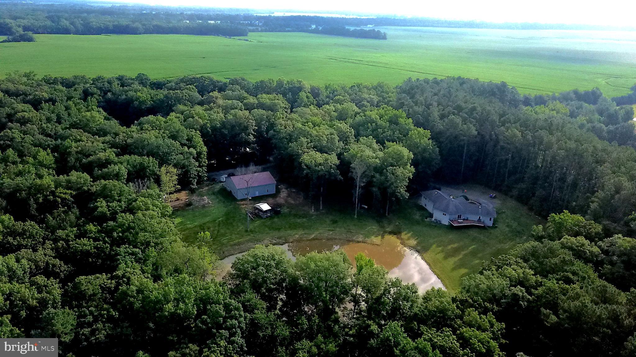 22672 Stevenson Road Ridgely, MD 21660 - Photo 50 of 53 Gallery Image 50