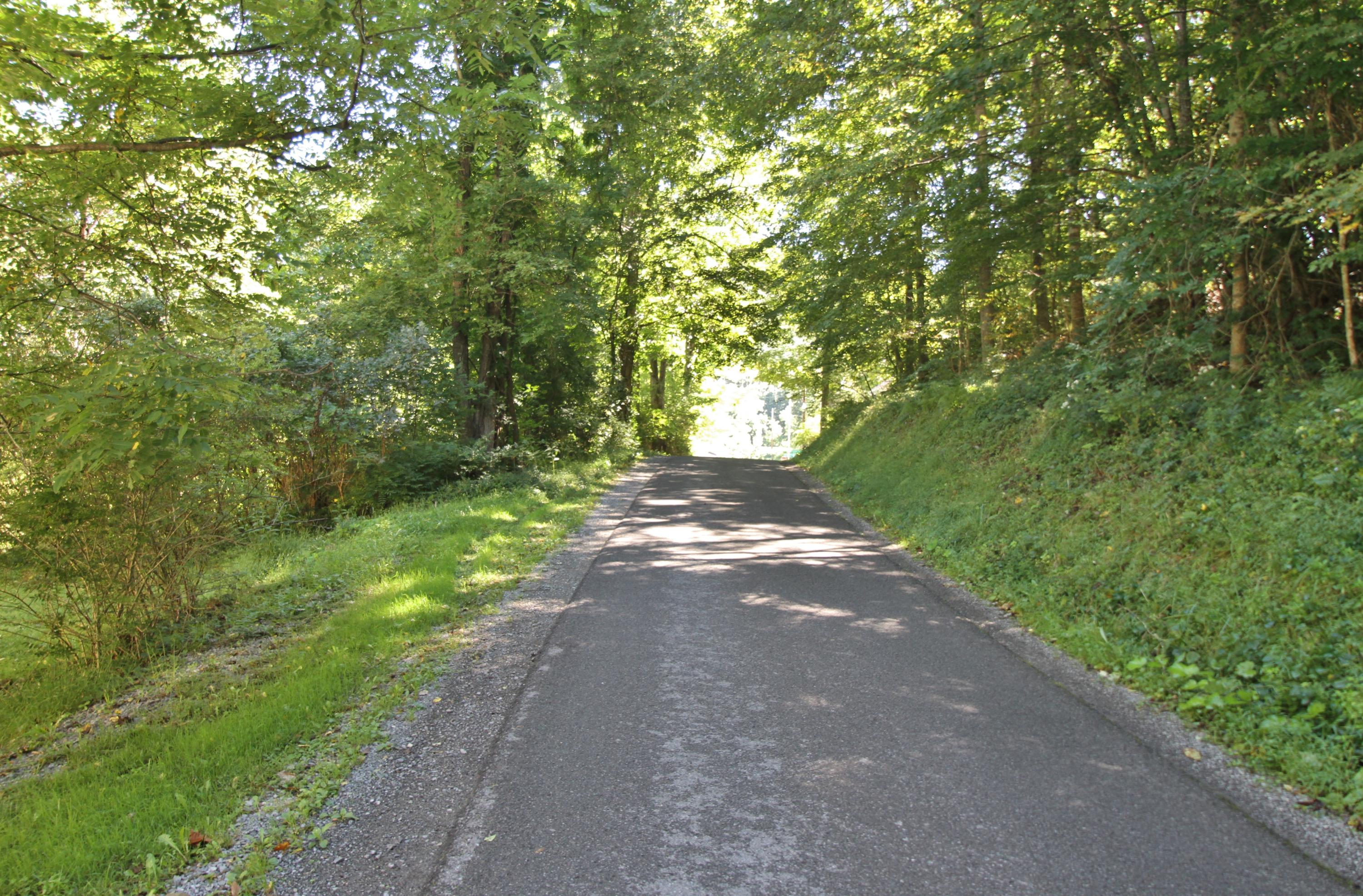 11803 Edray Road Cass, WV 24927 - Photo 75 of 86 Gallery Image 75
