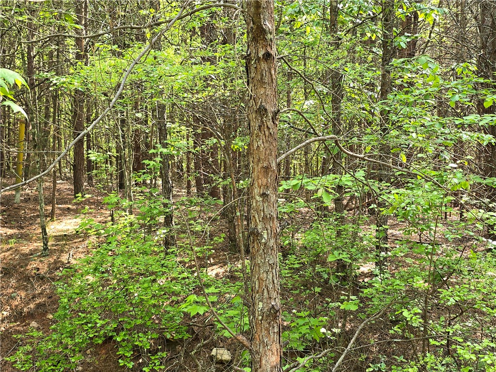 110 P-14-63 Anderson, SC 29621 - Photo 2 of 3