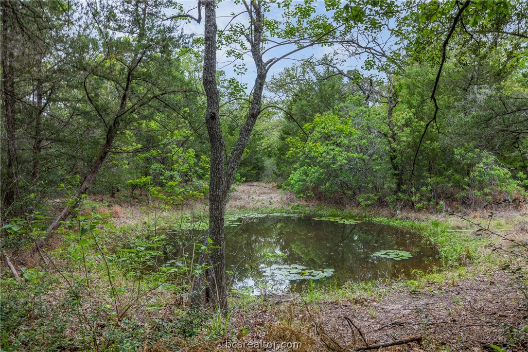 604 Hilton Road Bryan, TX 77807 - Photo 12 of 31 a view of a lake with a yard