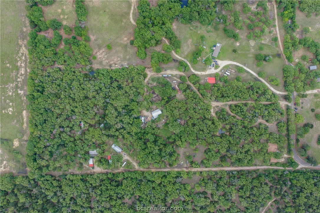 604 Hilton Road Bryan, TX 77807 - Photo 13 of 31 a view of a garden with large trees
