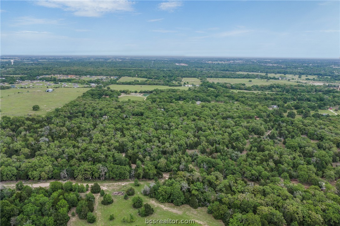 604 Hilton Road Bryan, TX 77807 - Photo 17 of 31 a view of a city and an ocean