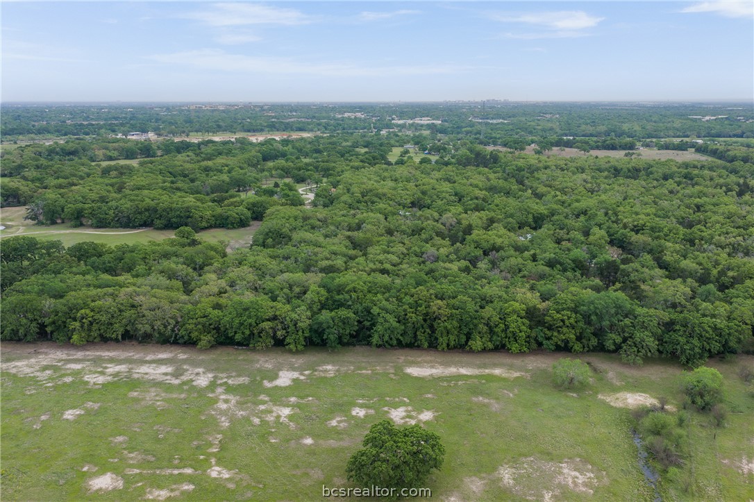 604 Hilton Road Bryan, TX 77807 - Photo 18 of 31 a view of a lush green outdoor space with a lake view
