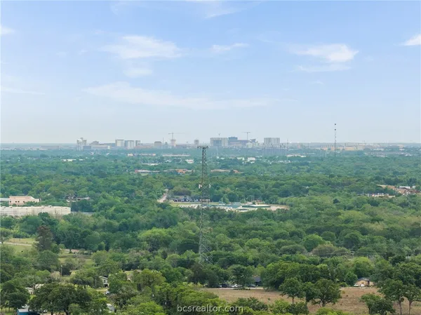 a view of a city with lush green space