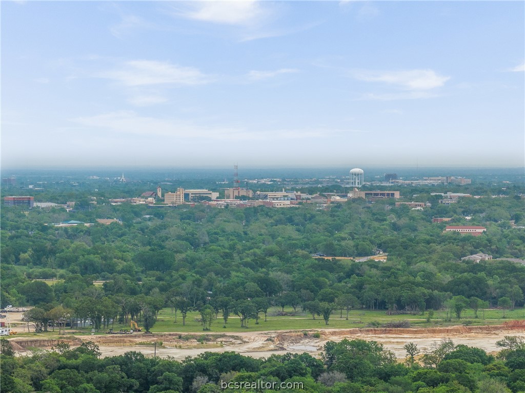 604 Hilton Road Bryan, TX 77807 - Photo 20 of 31 a view of a city