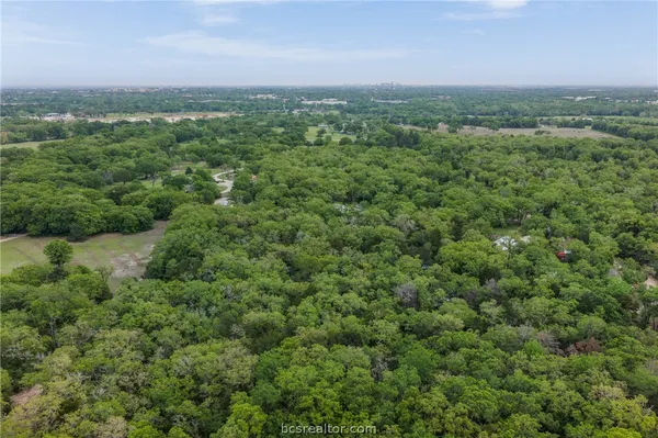 a view of a green field with lots of bushes