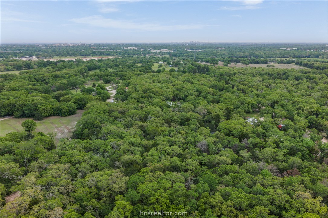 604 Hilton Road Bryan, TX 77807 - Photo 21 of 31 a view of a green field with lots of bushes