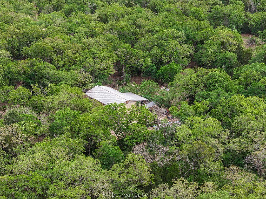 604 Hilton Road Bryan, TX 77807 - Photo 25 of 31 a view of a forest with a houses