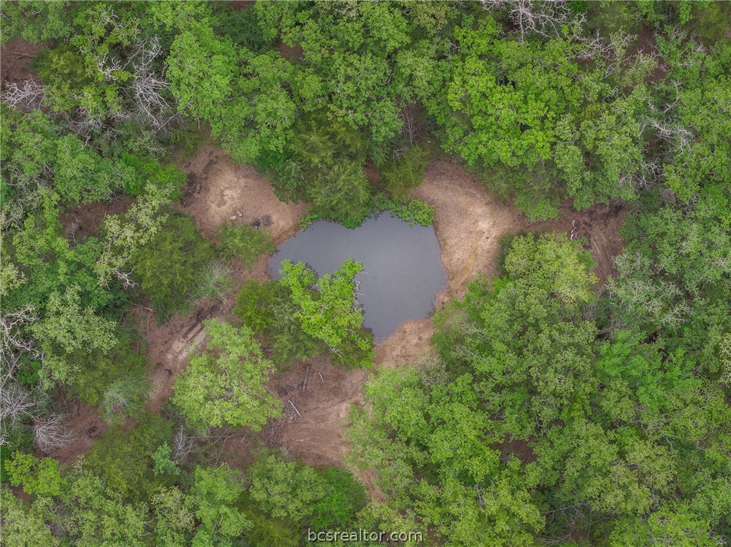 604 Hilton Road Bryan, TX 77807 - Photo 26 of 31 an aerial view of a house with a yard