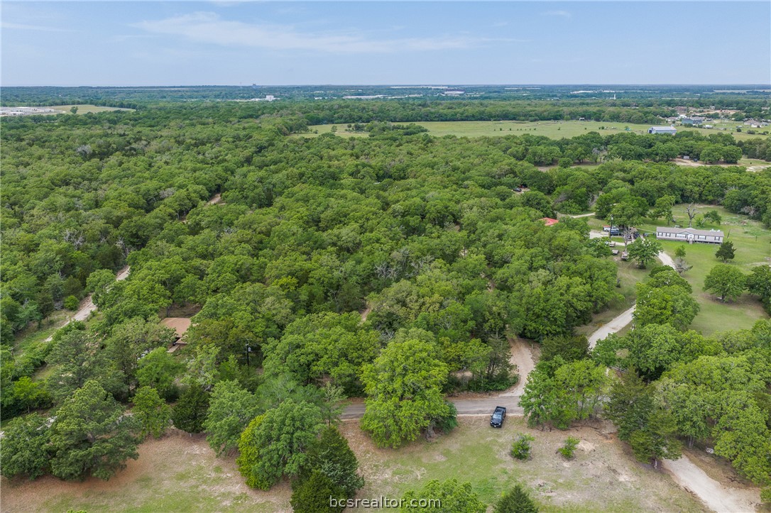 604 Hilton Road Bryan, TX 77807 - Photo 27 of 31 a view of a green field with lots of bushes