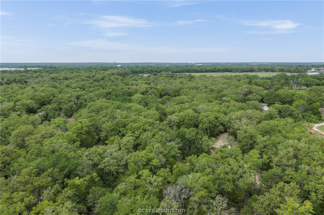 604 Hilton Road Bryan, TX 77807 - Photo 28 of 31 an aerial view of a field with lots of palm trees