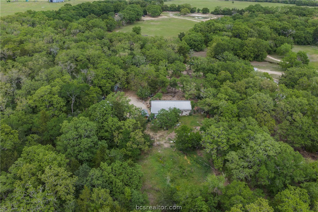 604 Hilton Road Bryan, TX 77807 - Photo 29 of 31 a view of a forest with a sink