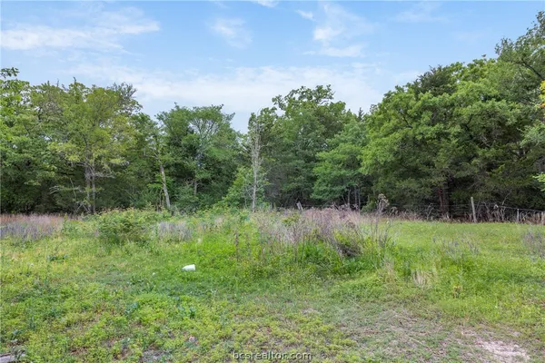 a view of a lush green space