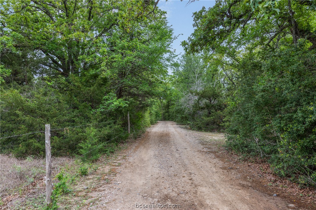 604 Hilton Road Bryan, TX 77807 - Photo 6 of 31 a view of a forest with trees in the background