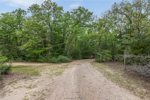a view of a dirt road with trees in the background