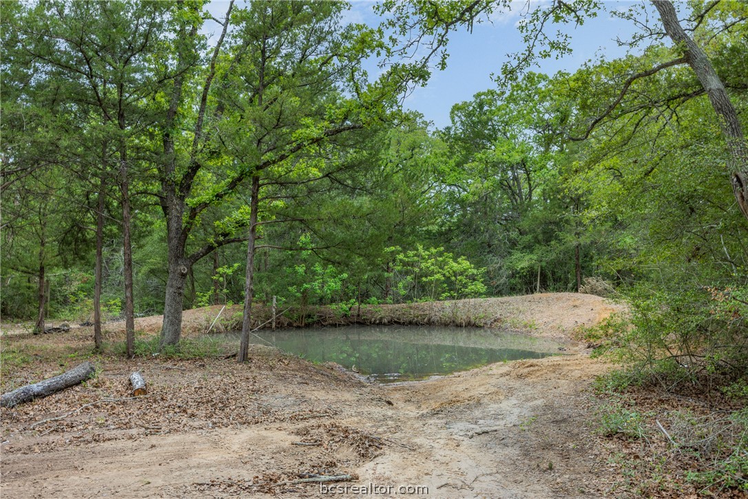604 Hilton Road Bryan, TX 77807 - Photo 10 of 31 a view of outdoor space and yard