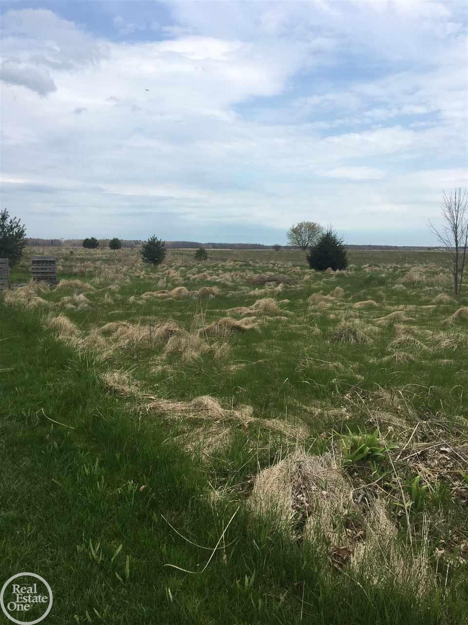 8346 Vincent Road Jeddo, MI 48032 - Photo 31 of 45