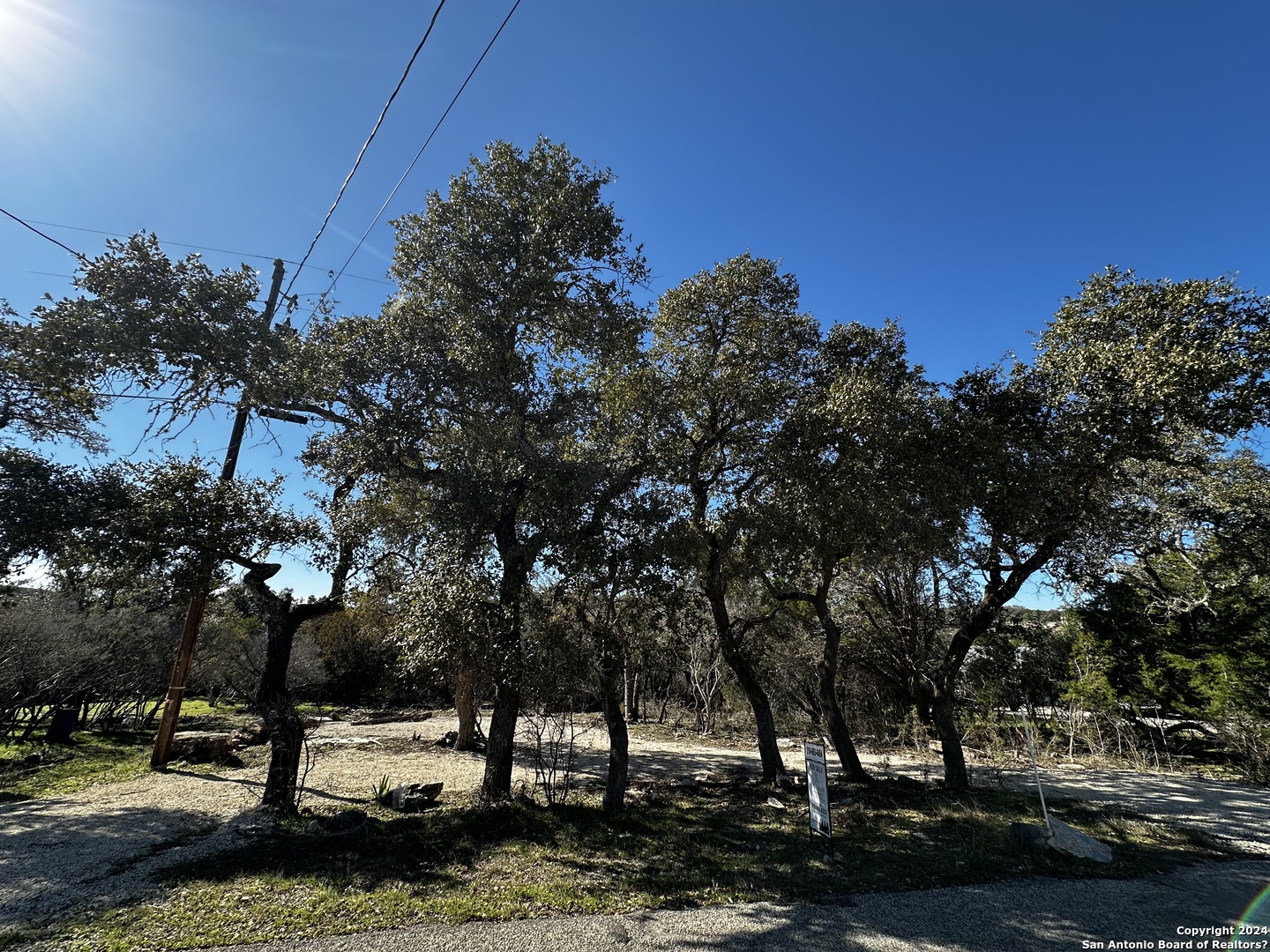 a view of a yard with a tree