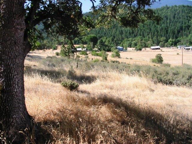 1240 Panther Gulch Road Williams, OR 97544 - Photo 16 of 25 Additional Photo