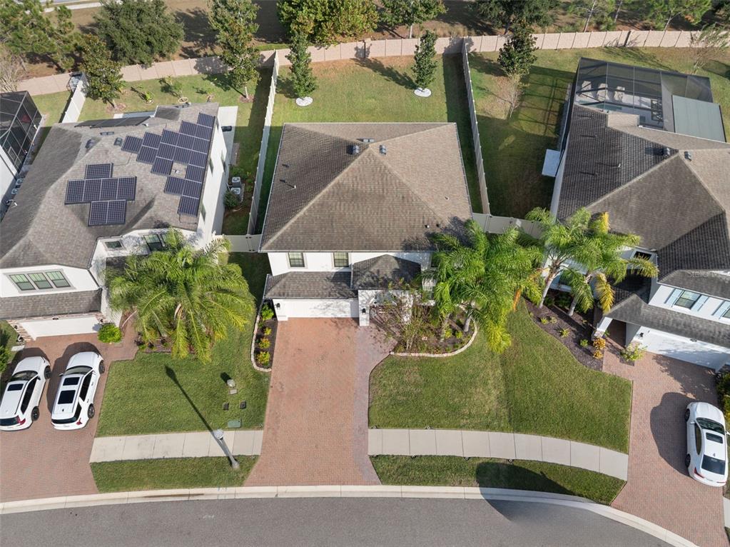 1216 Multiflora Loop Lutz, FL 33558 - Photo 46 of 50 an aerial view of a house with a yard