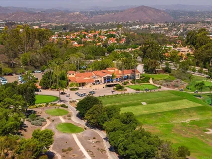 an aerial view of residential houses with outdoor space and trees