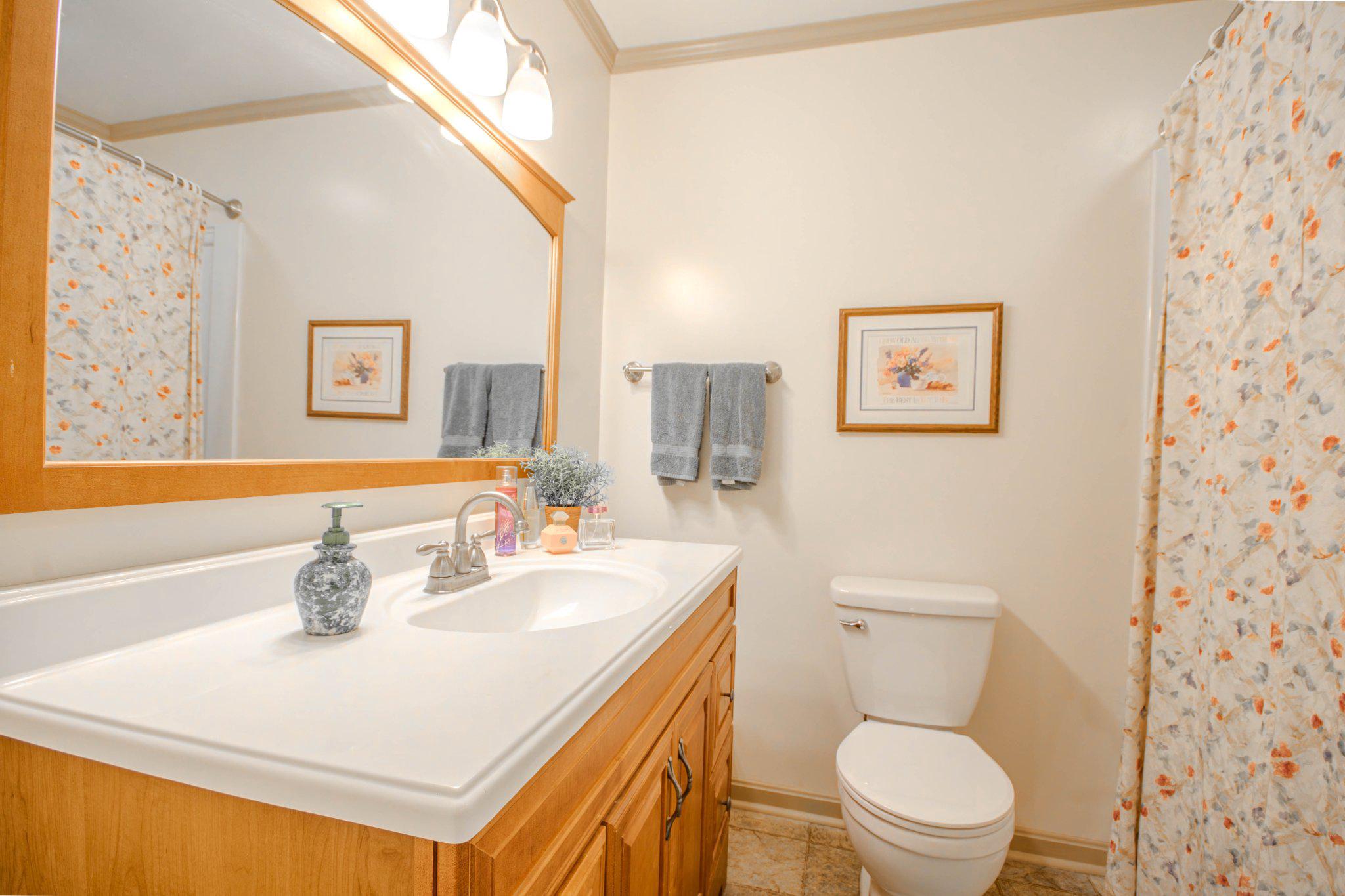 7301 Topaz Court Hebron, MD 21830 - Photo 33 of 47 Second floor Guest Bath