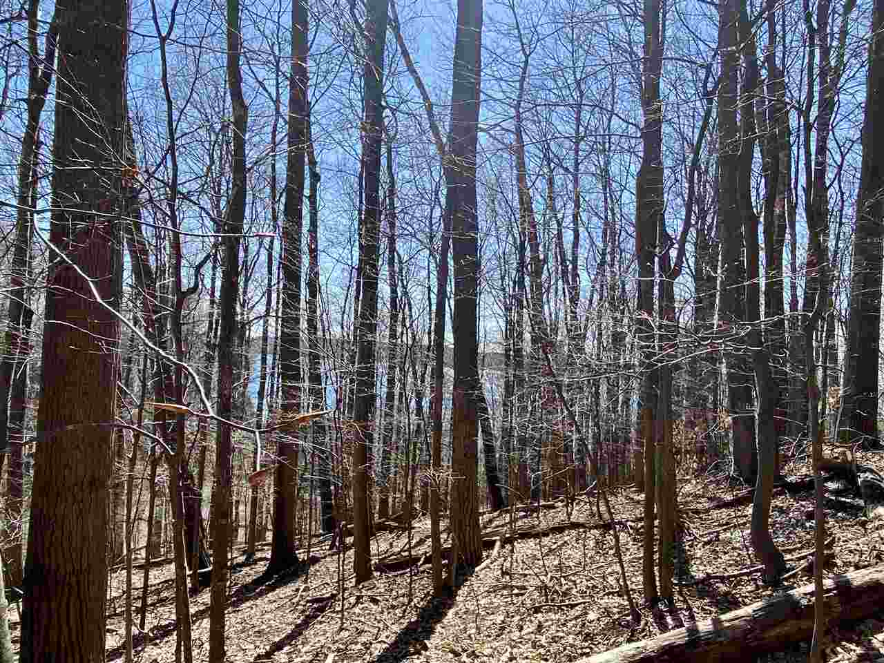 4060 Spring Valley Road Beulah, MI 49617 - Photo 9 of 20 1886905-8.JPG