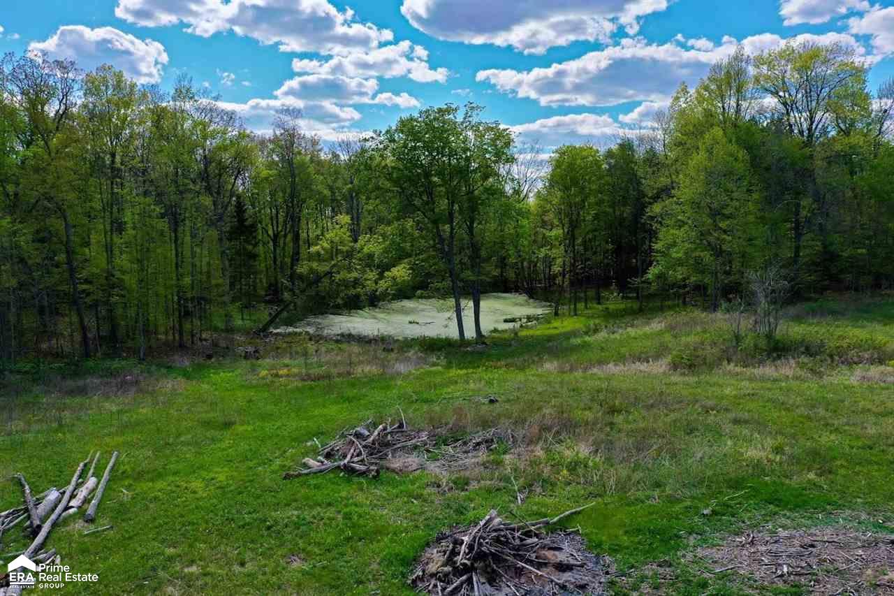 8290 Henderson Road Goodrich, MI 48438 - Photo 14 of 18
