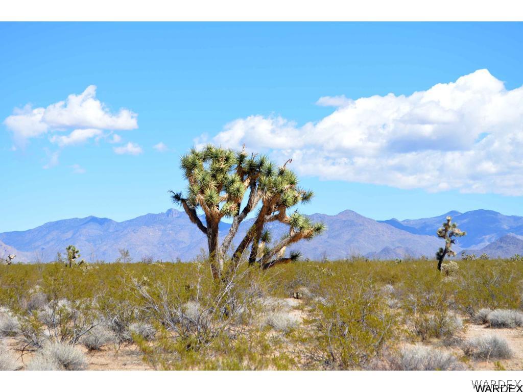 Lot 3385 Rainbow Road Yucca, AZ 86438 - Photo 5 of 13 a view of a mountain