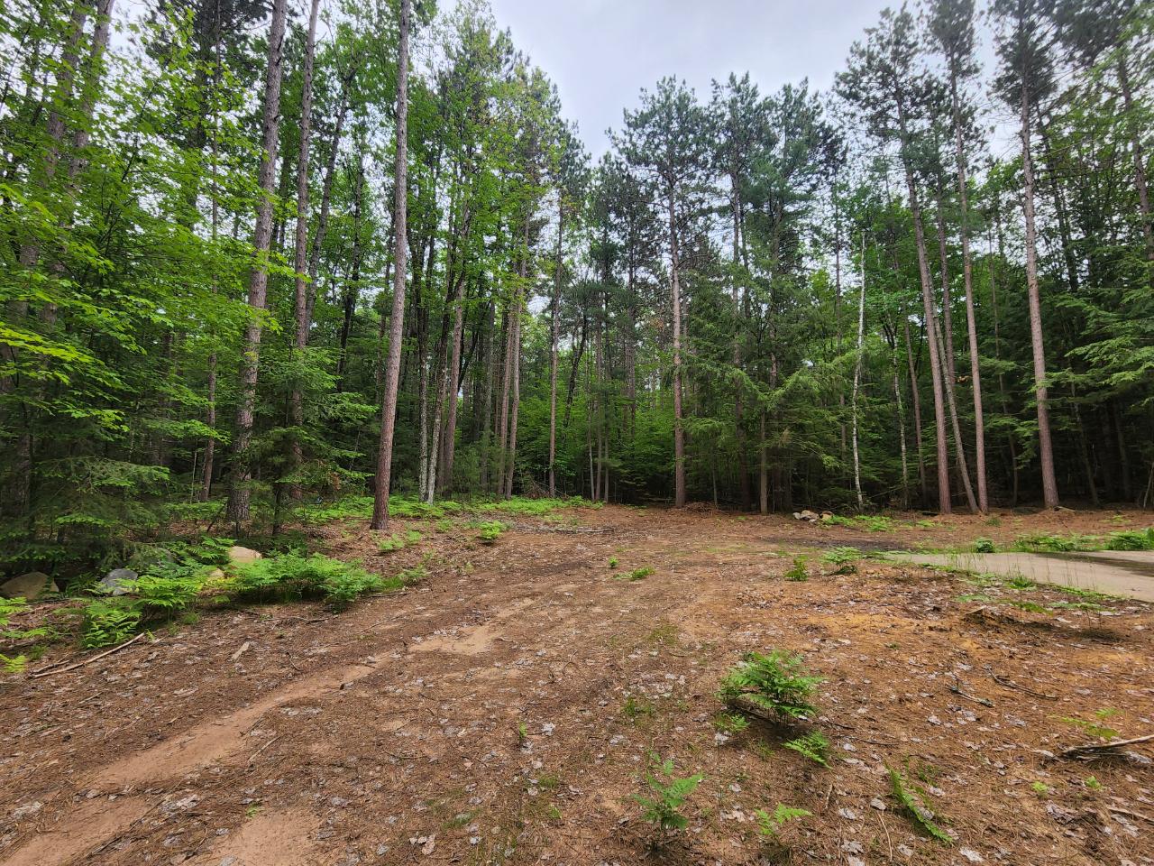 7238 Chicken In The Woods Road Three Lakes, WI 54562 - Photo 7 of 14 Gallery Image 7
