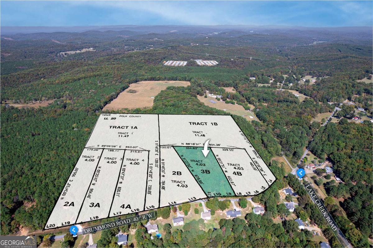 1081 Drummond Road Cedartown, GA 30125 - Photo 59 of 67 an aerial view of a large pool with lawn chairs and large trees