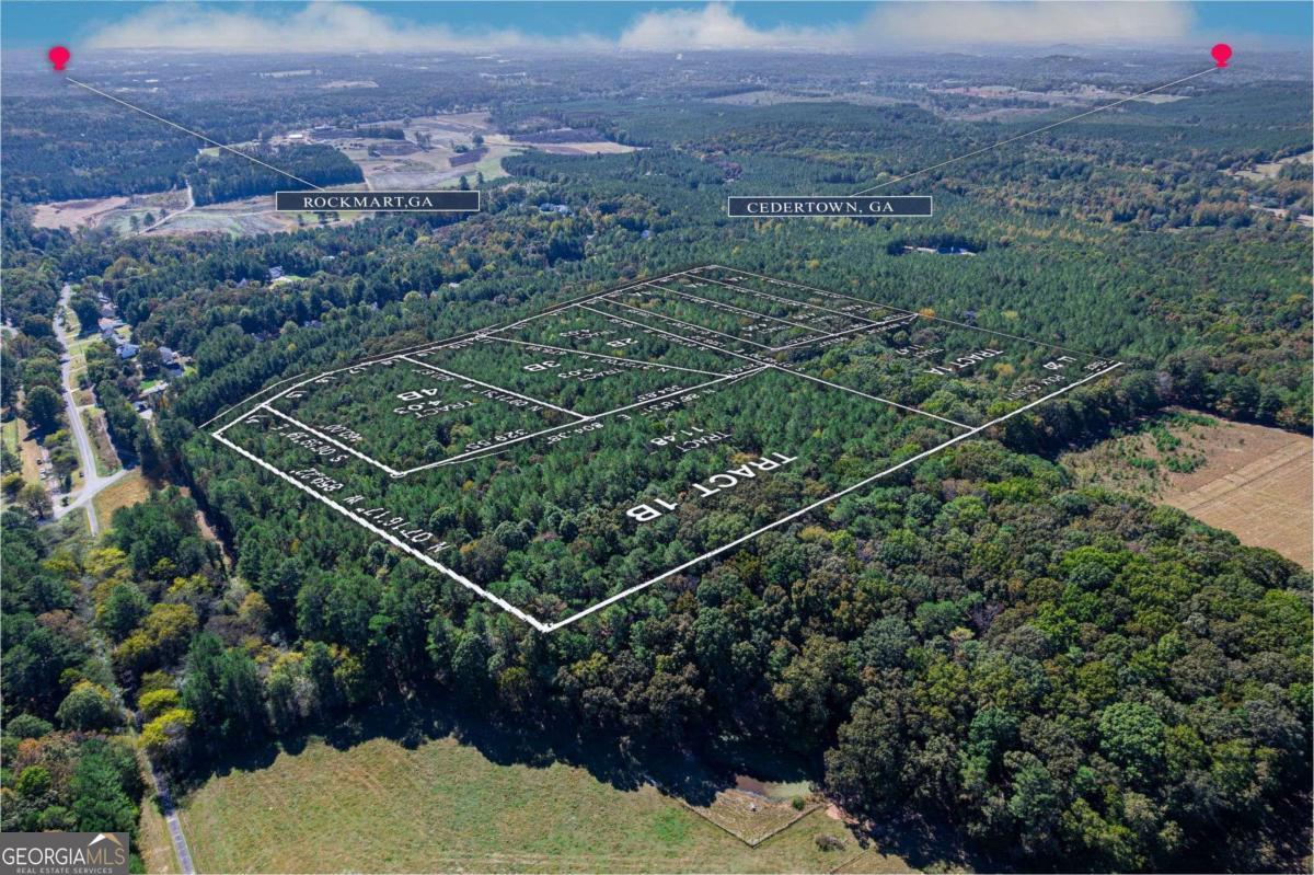 1081 Drummond Road Cedartown, GA 30125 - Photo 64 of 67 an aerial view of a residential houses and city view