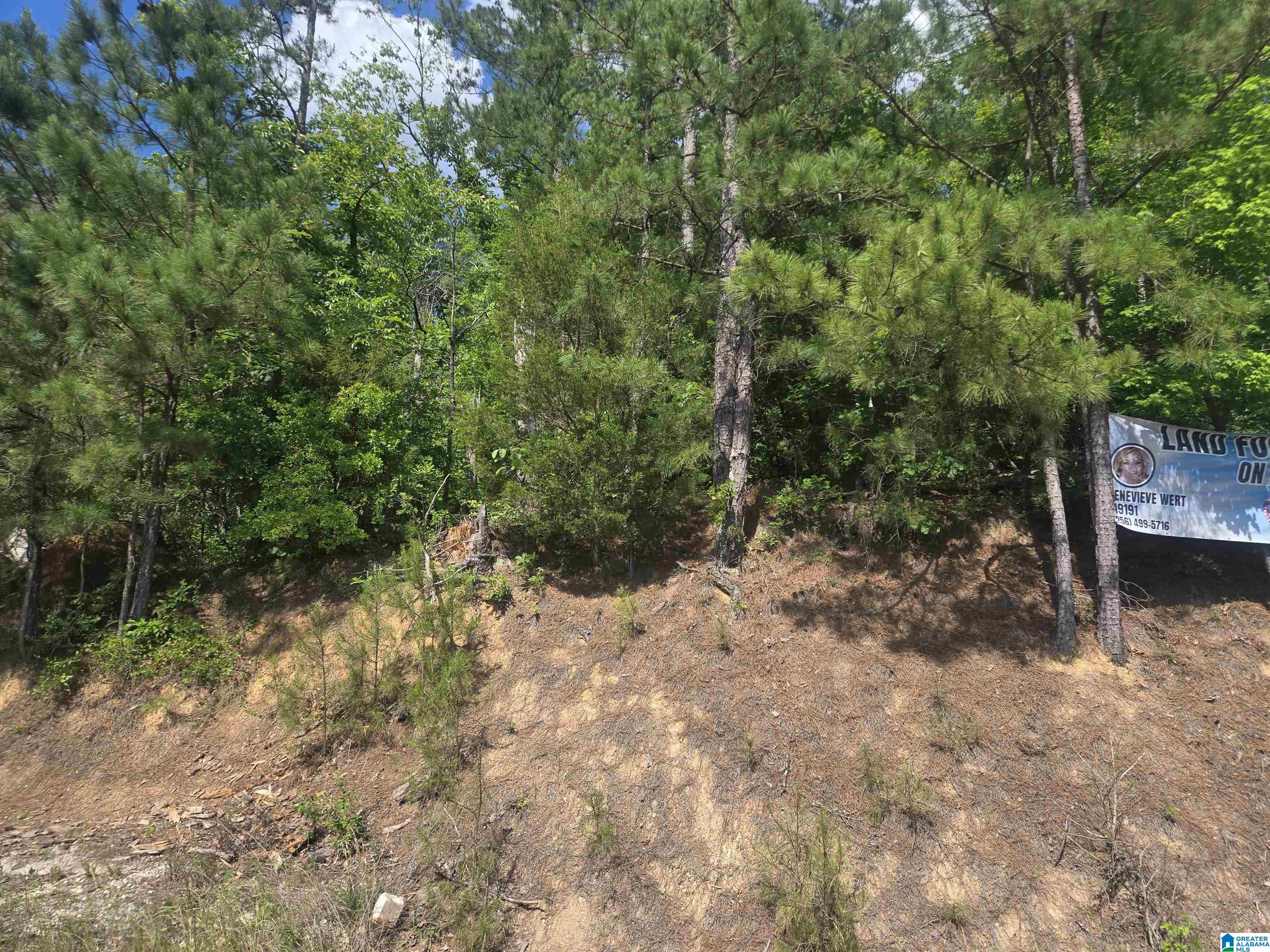 135 Big Chef Road Ohatchee, AL 36271 - Photo 2 of 27