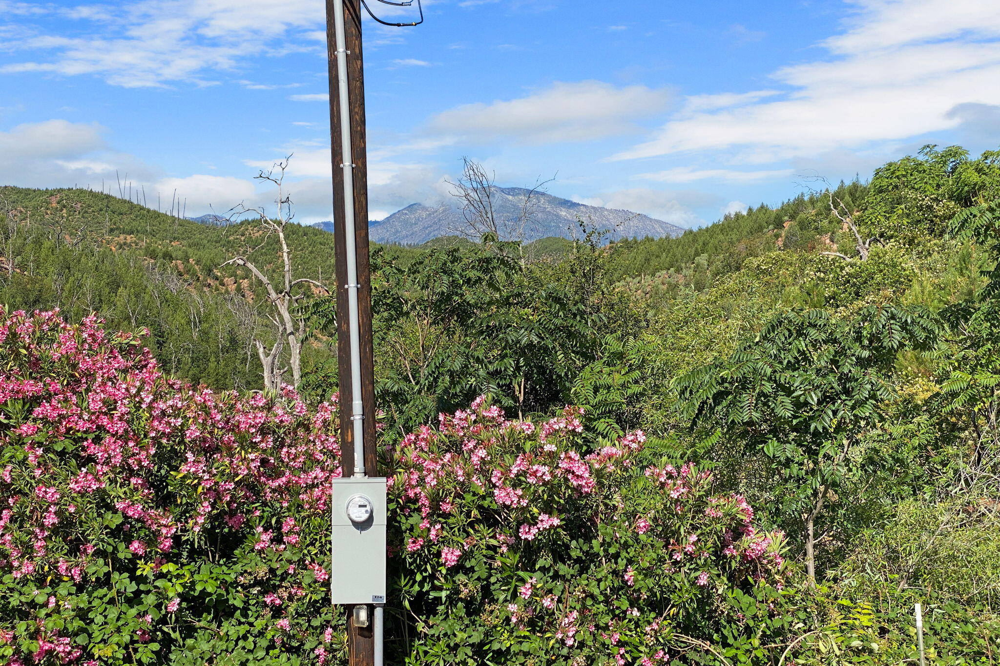 11258 Iron Mountain Road Redding, CA 96001 - Photo 22 of 27 Beautiful land