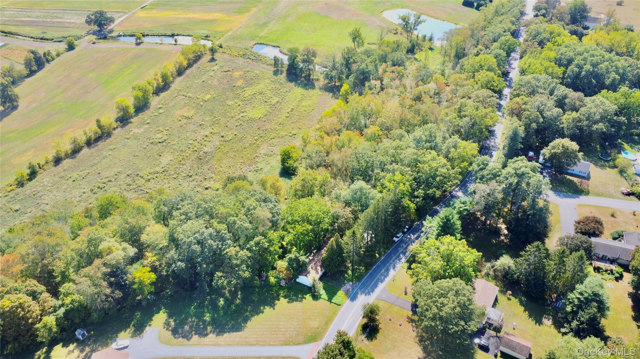 214 County Route 67 Cairo, NY 12413 - Photo 21 of 21 a view of a garden with lawn chairs