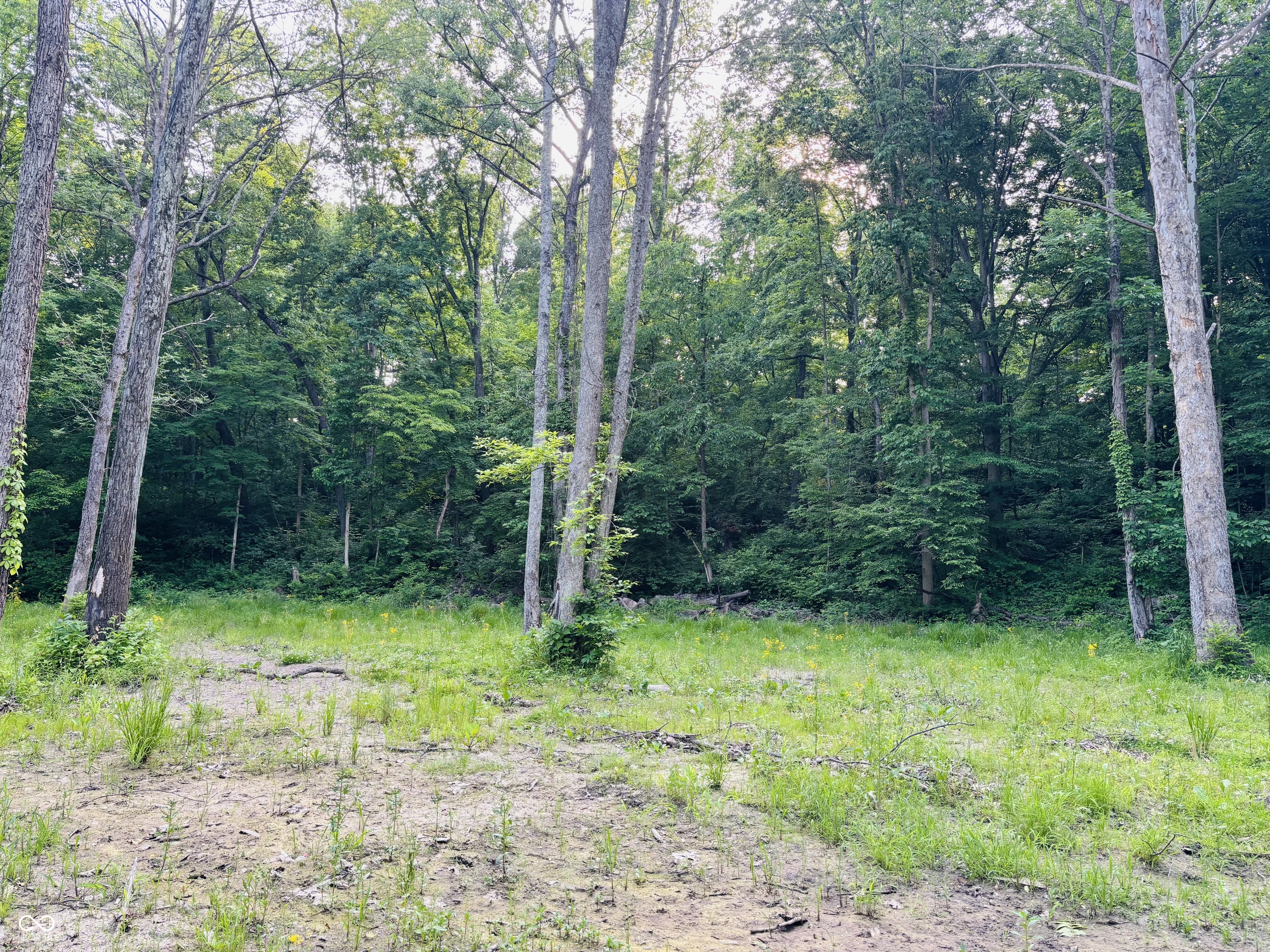 0 Laurel Road Laurel, IN 47024 - Photo 3 of 17