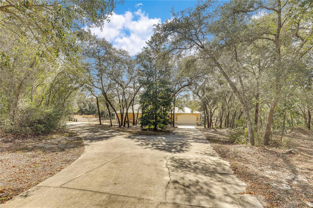 7120 Gas Line Road Keystone Heights, FL 32656 - Photo 11 of 82