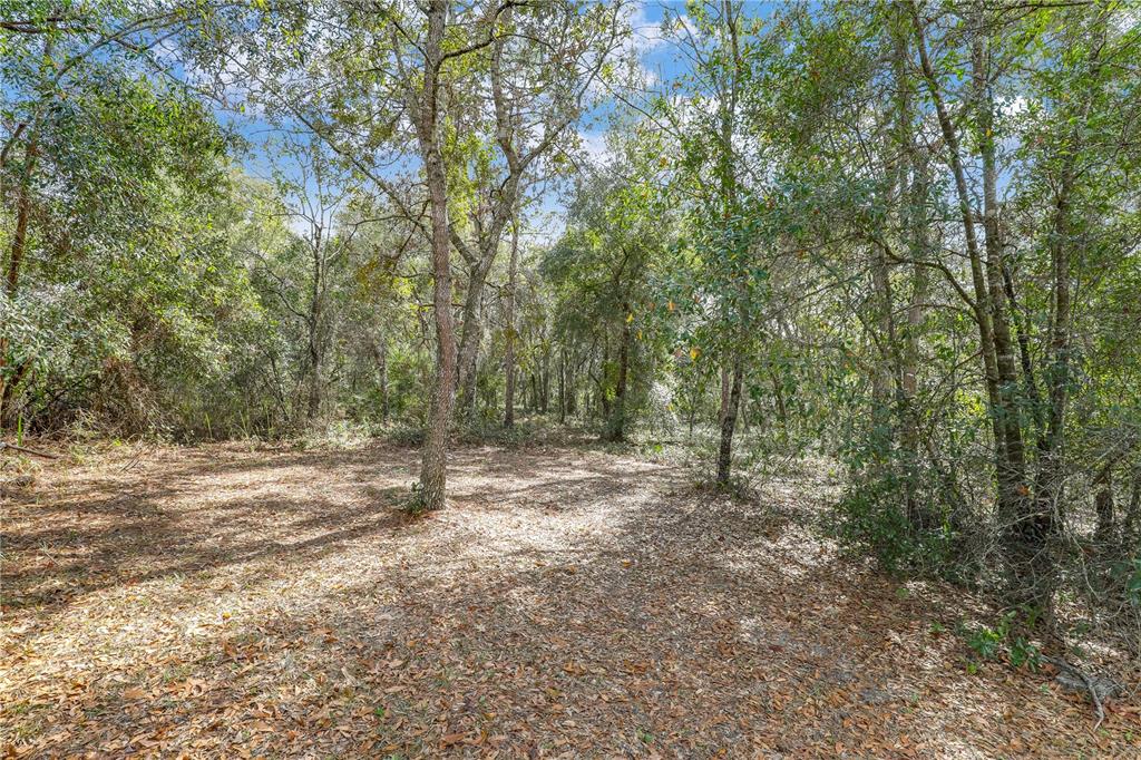 7120 Gas Line Road Keystone Heights, FL 32656 - Photo 73 of 82