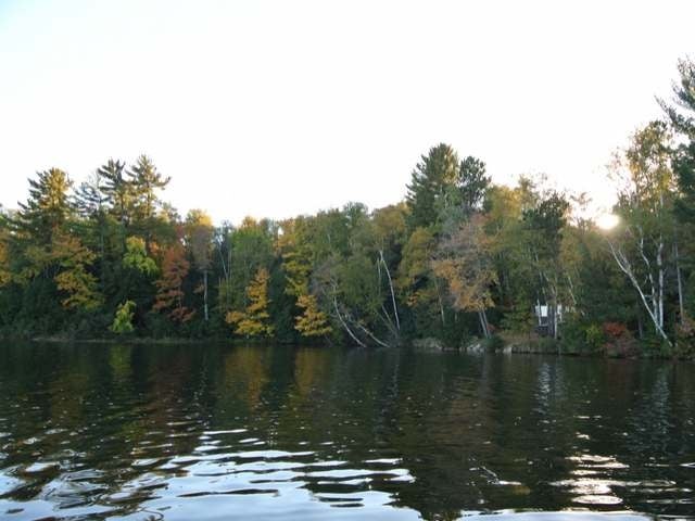 Lot 2 Shore Drive Rhinelander, WI 54501 - Photo 14 of 19 Gallery Image 14
