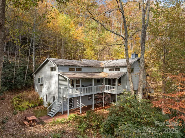 a view of a yard with plants and trees
