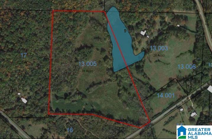 0 State Lake Road, Unit 31 ACRES Lineville, AL 36266 - Photo 14 of 15