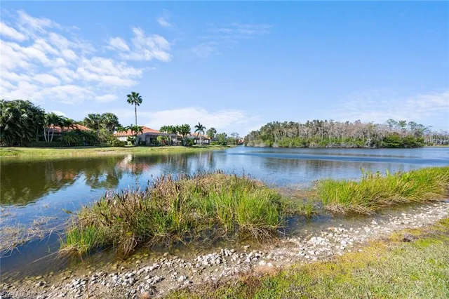 a view of a lake with houses in the back