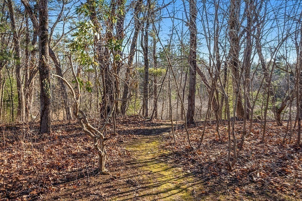 31 Ward Road Sudbury, MA 01776 - Photo 4 of 26 a backyard of a house with lots of green space