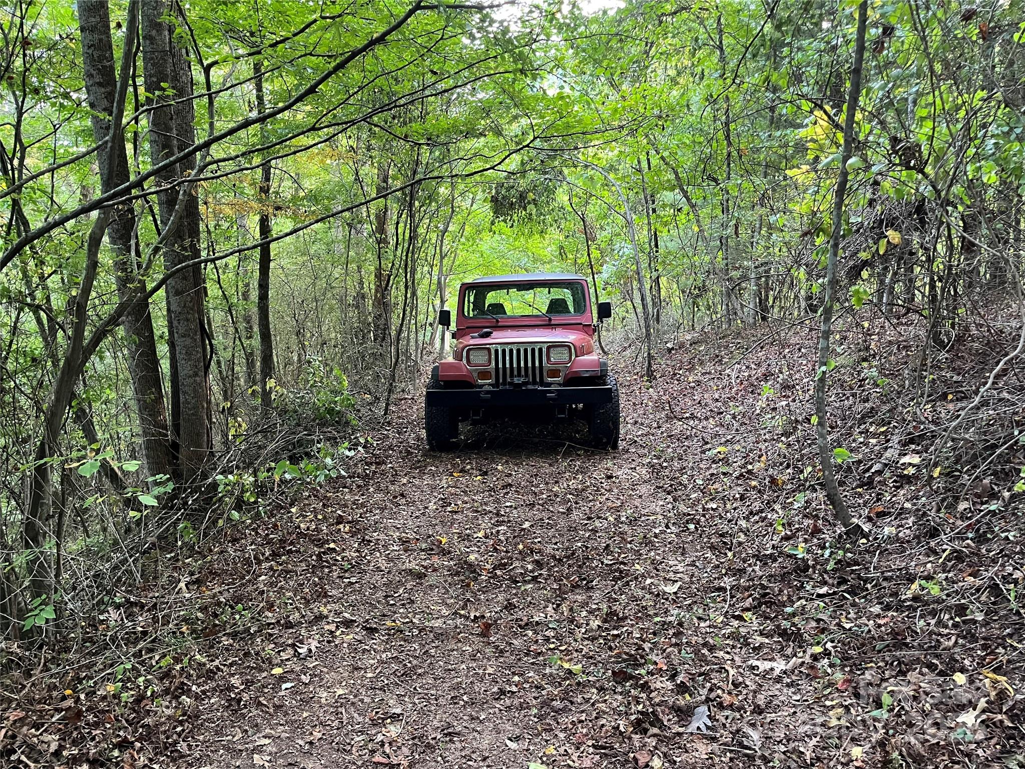 1961 Cane Creek Road Fletcher, NC 28732 - Photo 16 of 18