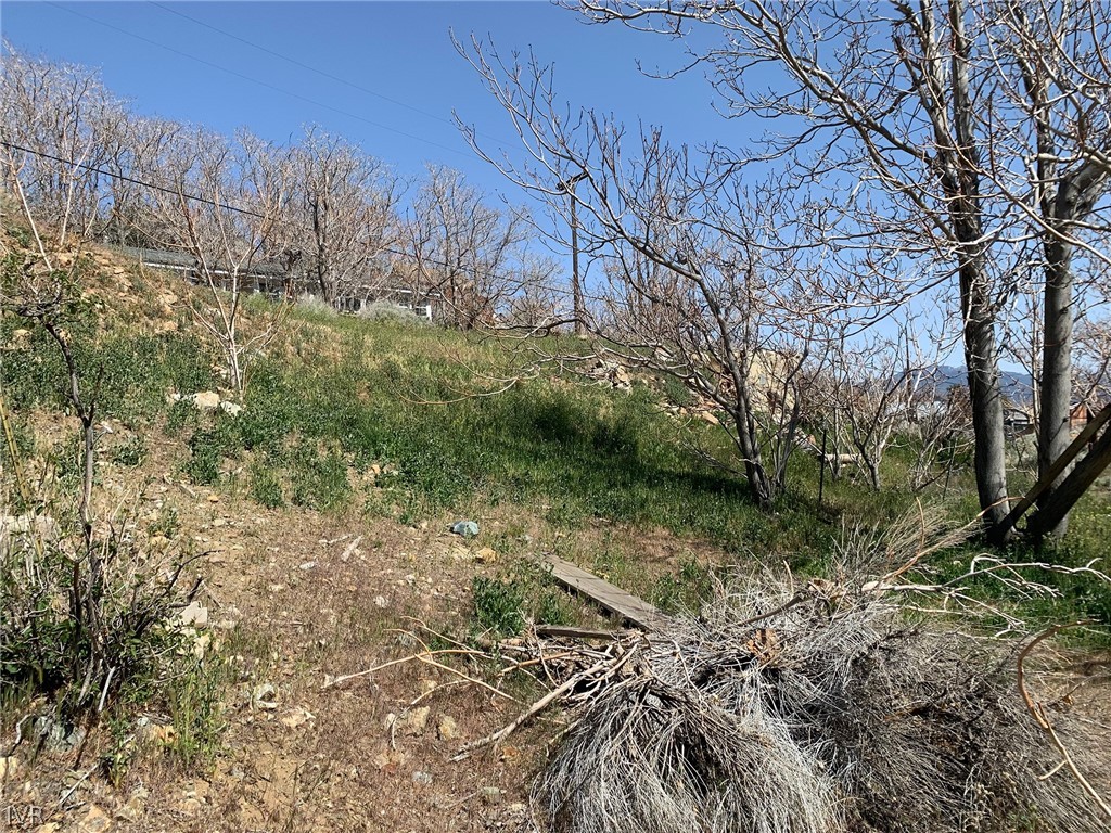 75 Main Street Silver City, NV 89428 - Photo 11 of 23 a backyard of a house with lots of green space