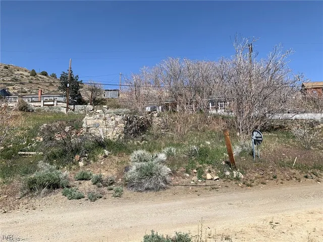 a view of a yard with plants and trees