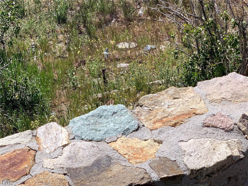 75 Main Street Silver City, NV 89428 - Photo 7 of 23 a view of a backyard of the house