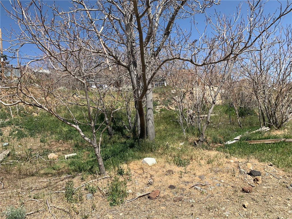 75 Main Street Silver City, NV 89428 - Photo 8 of 23 a backyard of a house with lots of green space